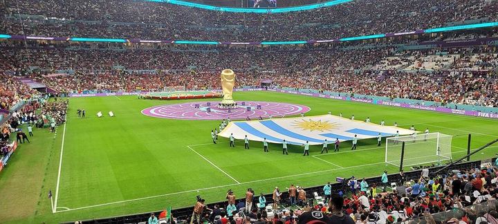 世界杯｜塞内加尔足协主席：发现队医是妇科医生，球员也不信任他｜江南体育官网（封面配图）